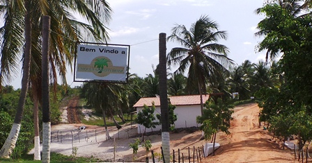 Plantation, Investment, Conference, Financial, 